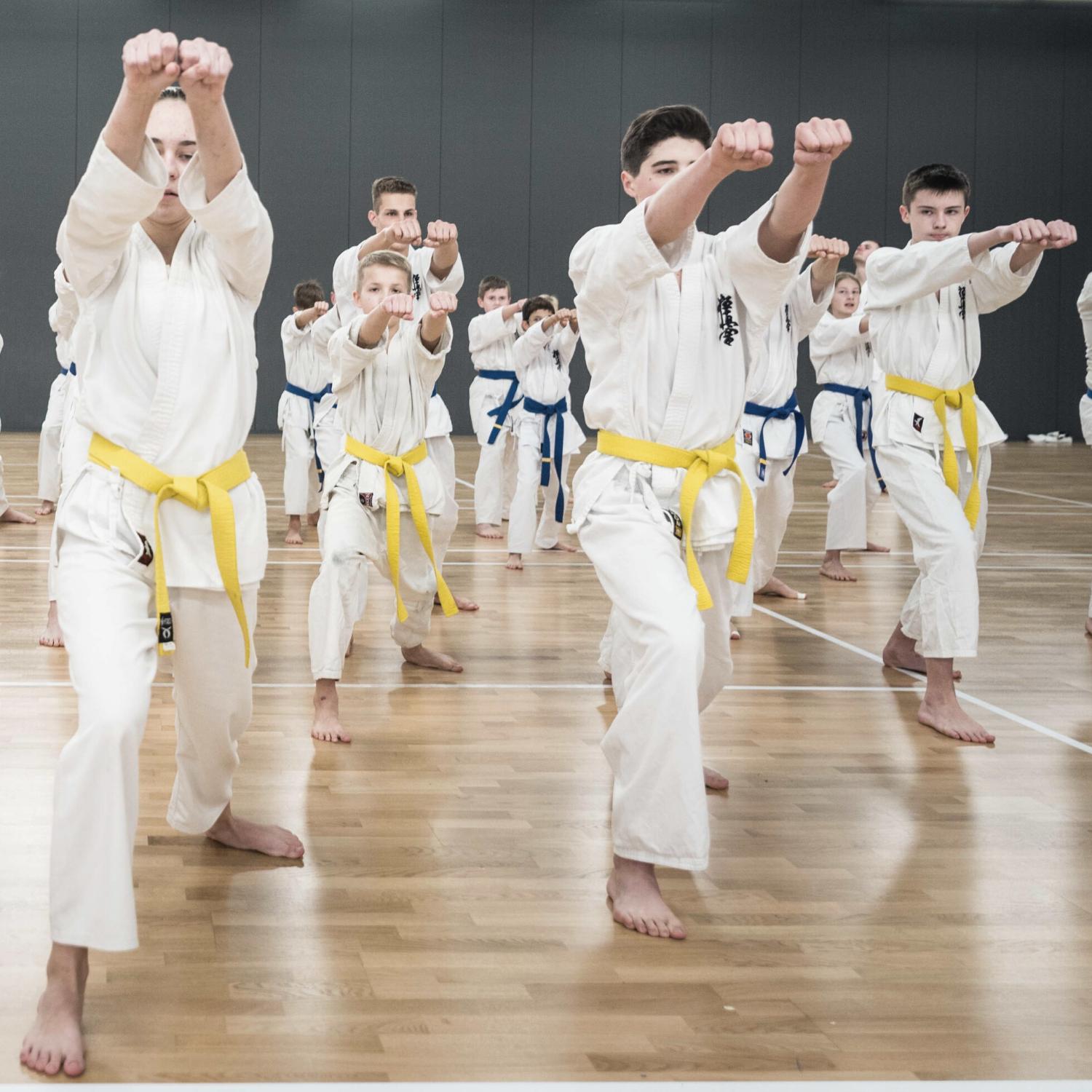 Karatė mokyklinės treniruotės sportuojantiems | Molėtų pradinė mokykla
