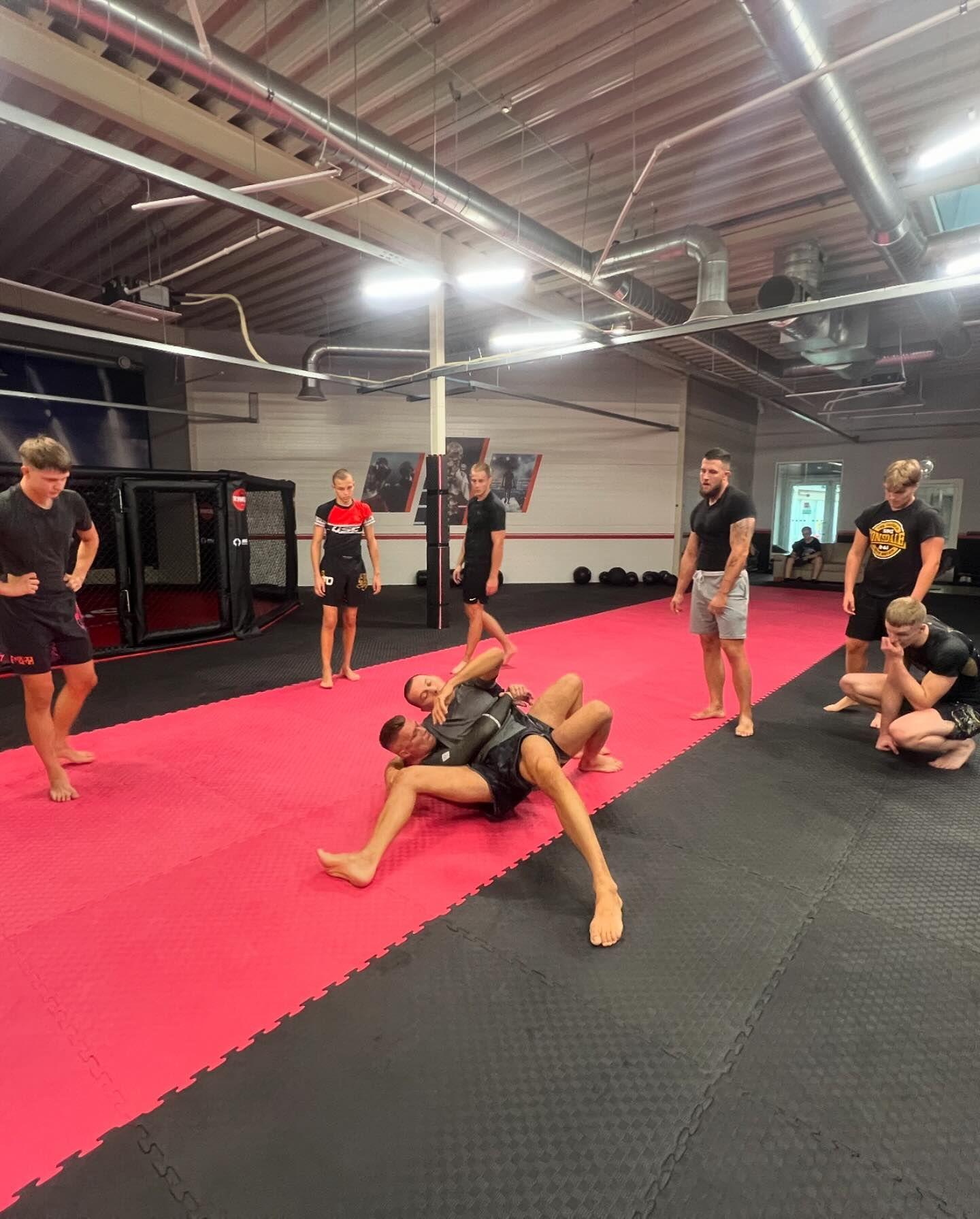 MMA treniruotės
