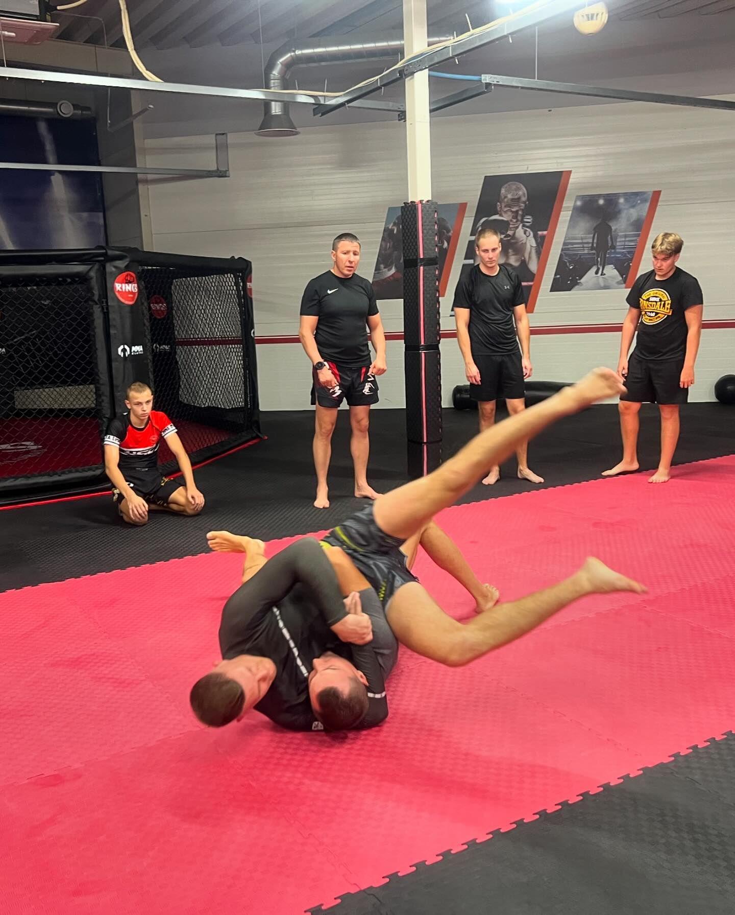 MMA treniruotės