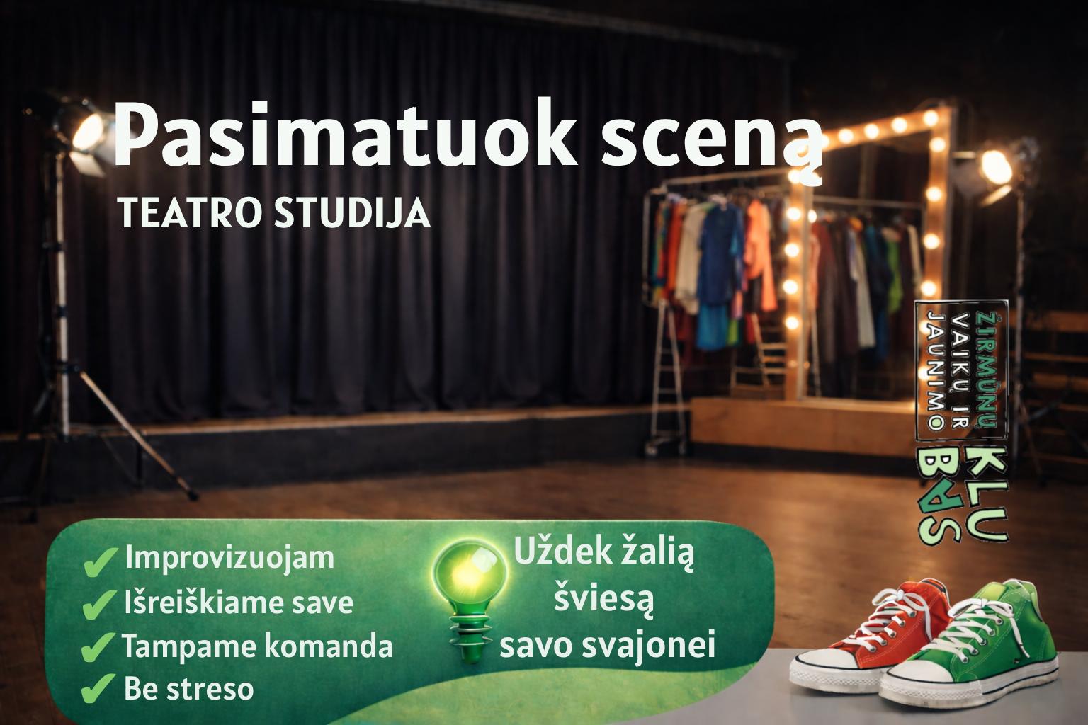 Vaidybos studija II gr.
