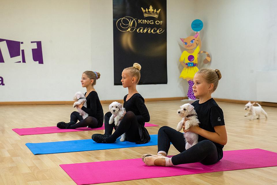KIDS & PUPPIES (vaikų 4-12 m. ir šuniukų) Starter šokių grupė