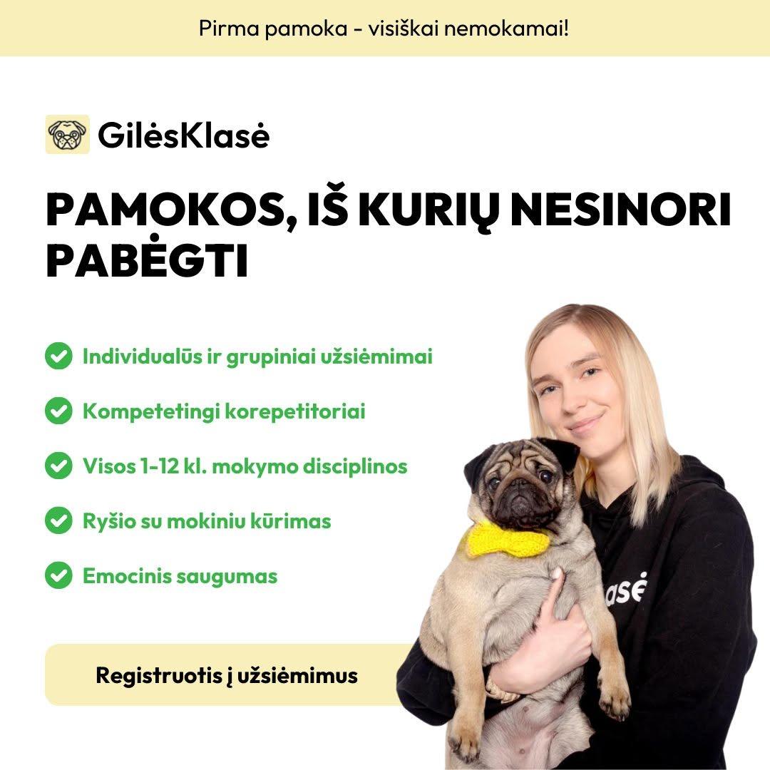 Individualios pasaulio pažinimo pamokos