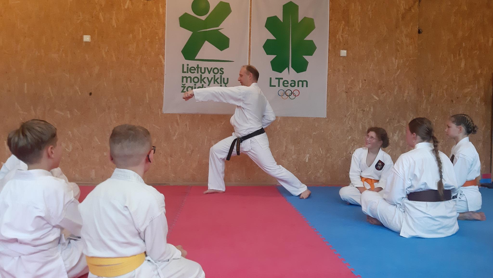 Šotokan Karatė treniruotės (9 - 12 klasės) jaunimui