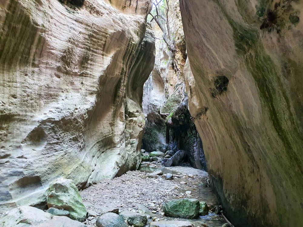 ŽYGIS PĖSČIOMIS KIPRE | KAČIŲ IR GĖLIŲ SALA