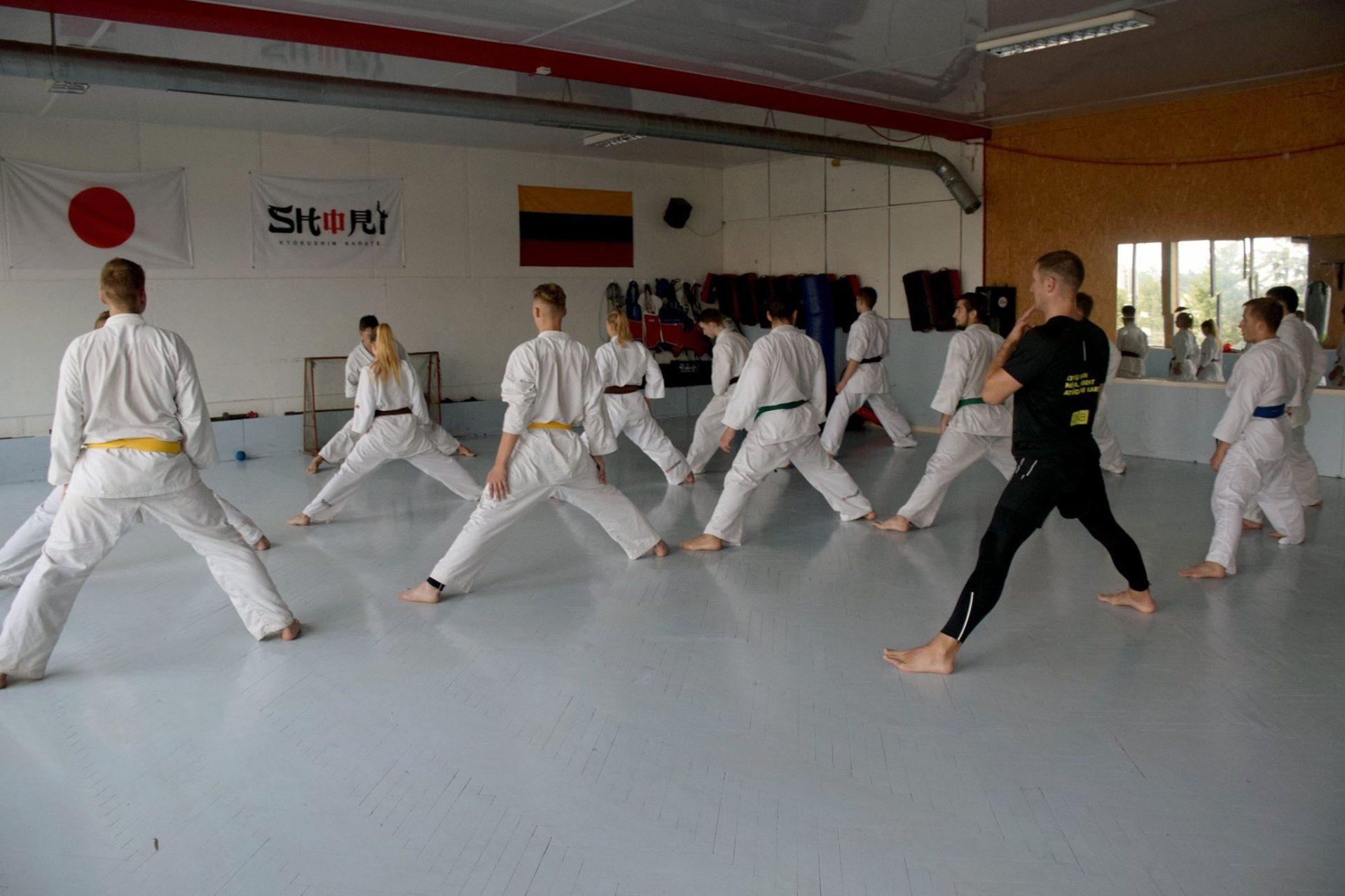 Karate treniruotės | Suaugusieji (14 m. ir vyresni) | Trenerė Simona