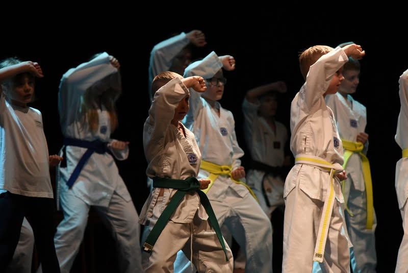 Rytų kovos menai I gr. (TAEKWONDO) (6-10m.) Antr 18:20-19:05; Ketvr 18:20-19:05.