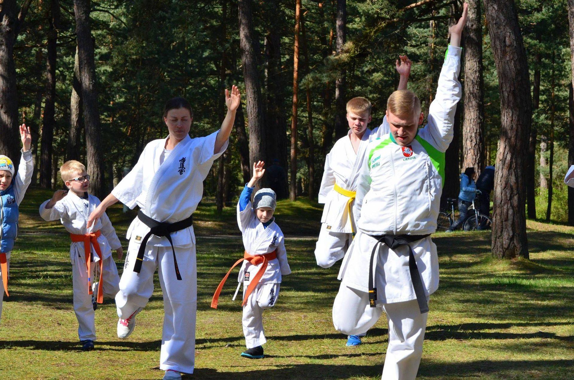 Kyokushin karate treniruotės  (specializuota fizinio rengimo grupė 13-18 m.) | Sportininkų g.