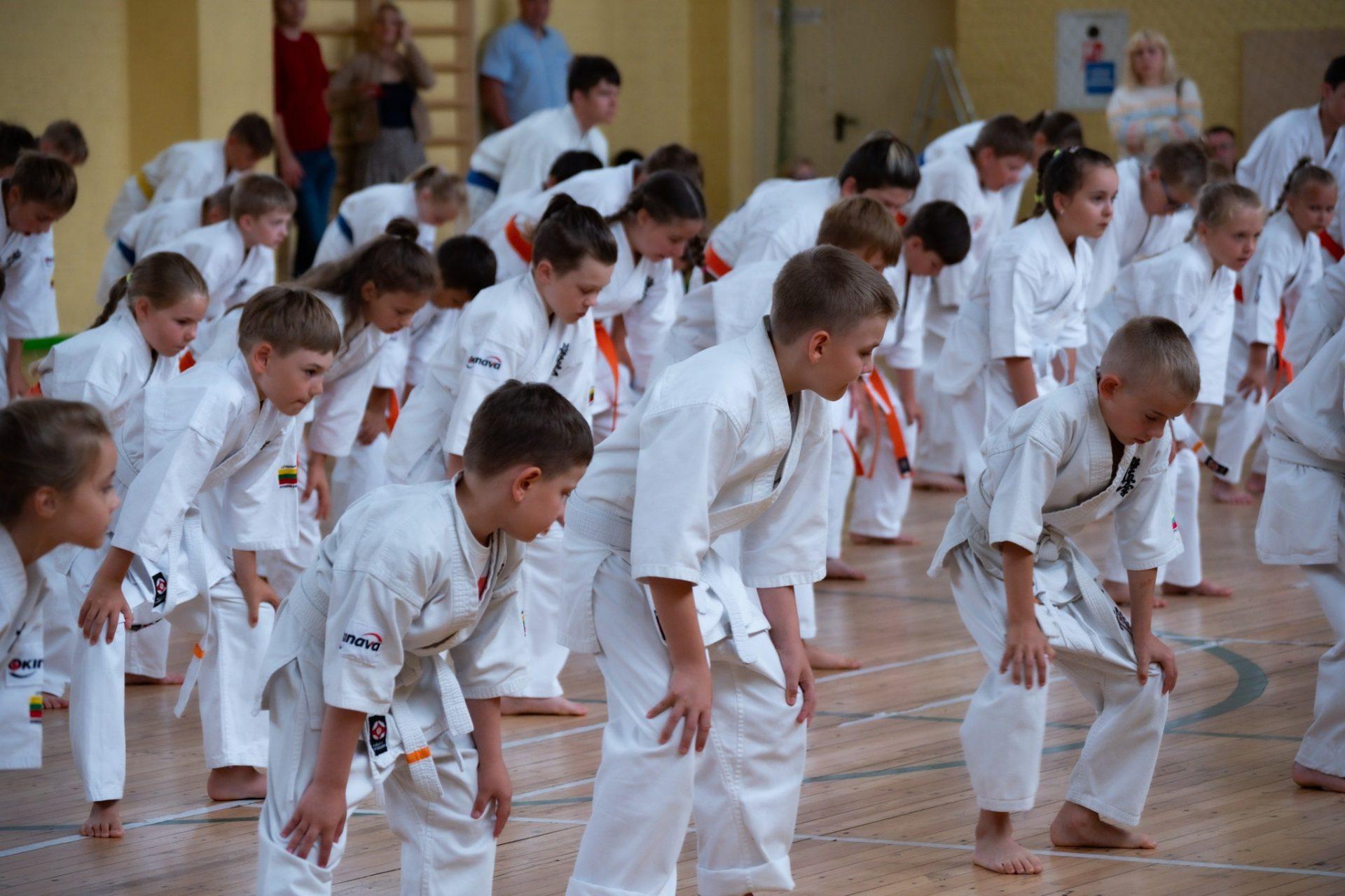 Kyokushin karate treniruotės (6 – 10 m.) | Gargždų "Kranto" progimnazija