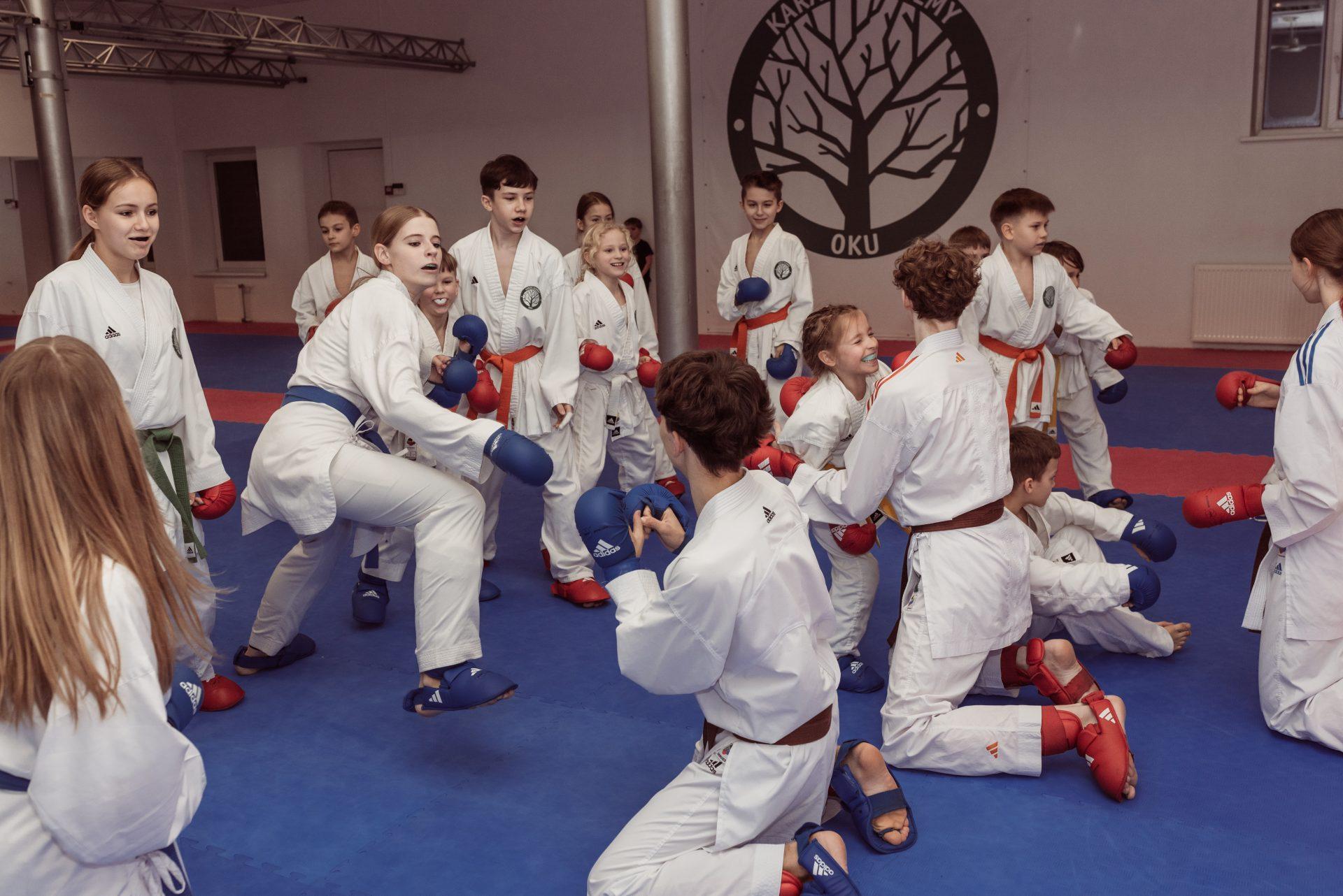 Karate treniruotės | Stelmužės ąžuolai (14+ metų naujokai ir pažengę)