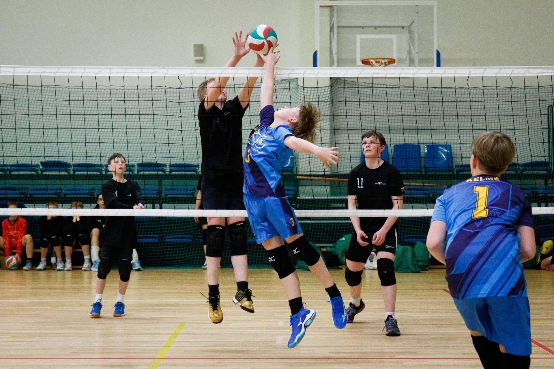 SALĖS VAIKŲ TINKLINIO TRENIRUOTĖS | KTA 1 BERNIUKAI 2012m. ir jaunesni