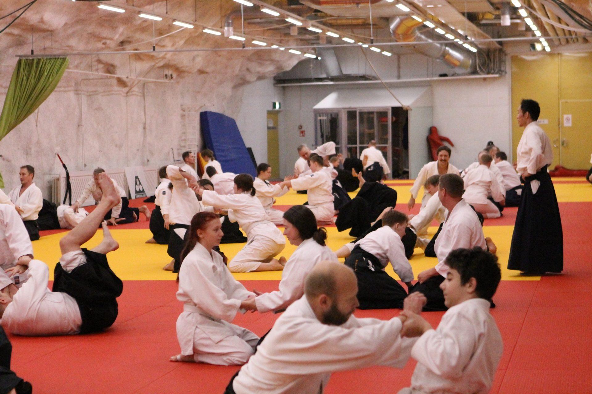 AIKIDO | Treniruotė su ginklais ir Iaido | Tren. Irina