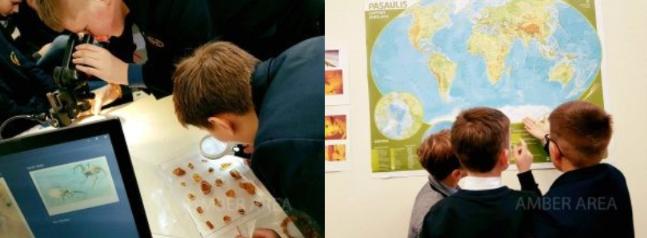 Edukacinė programa  “Žemės atmintis”