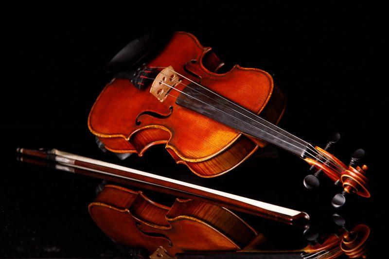 PROFESIONALIOJI MUZIKOS UGDYMO PROGRAMA (PMUP)
