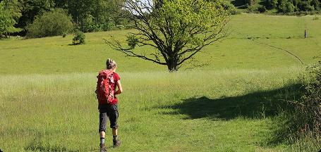 Labanoro žygis (10km)