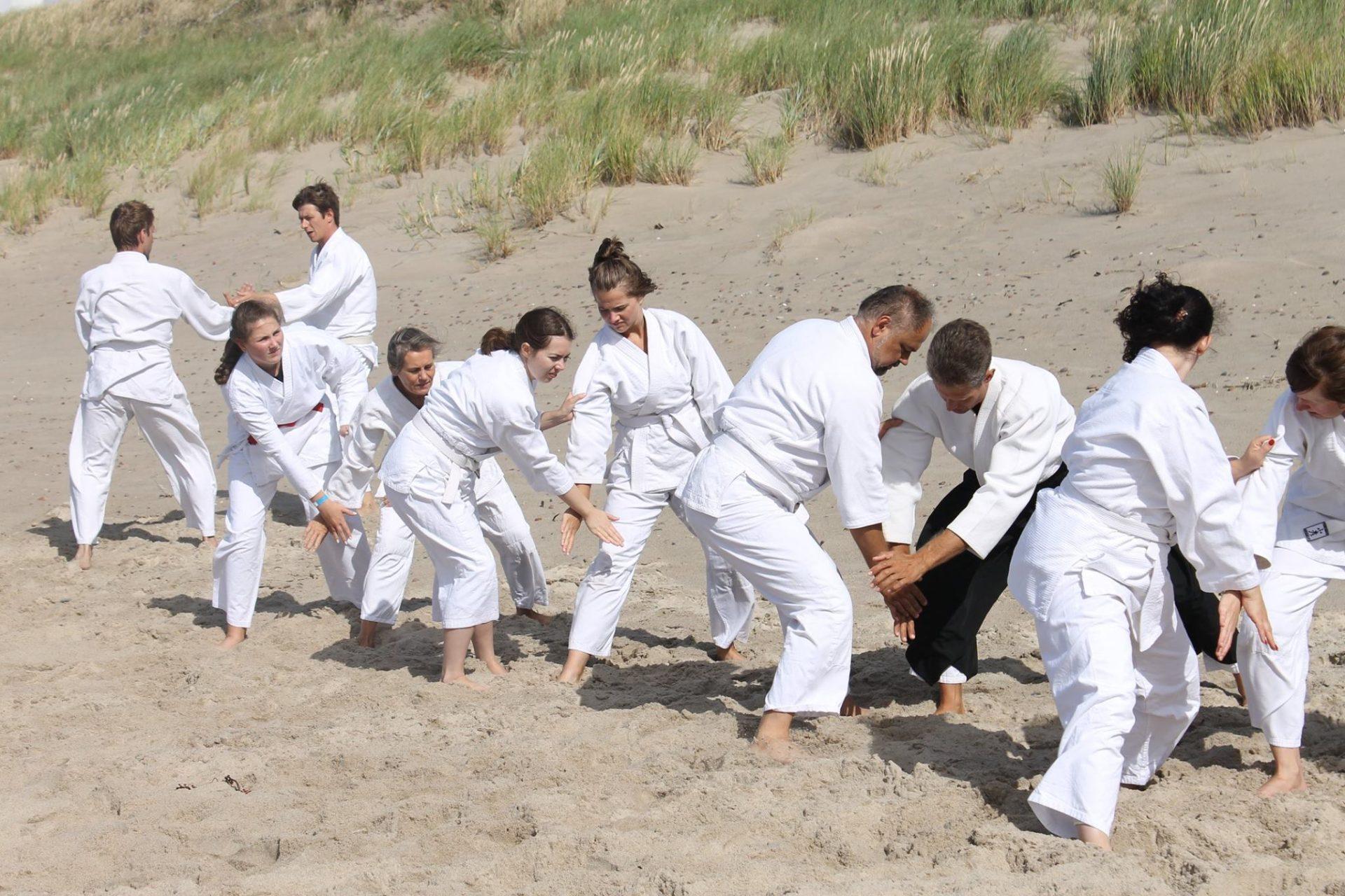 AIKIDO | pradedantiems vaikams