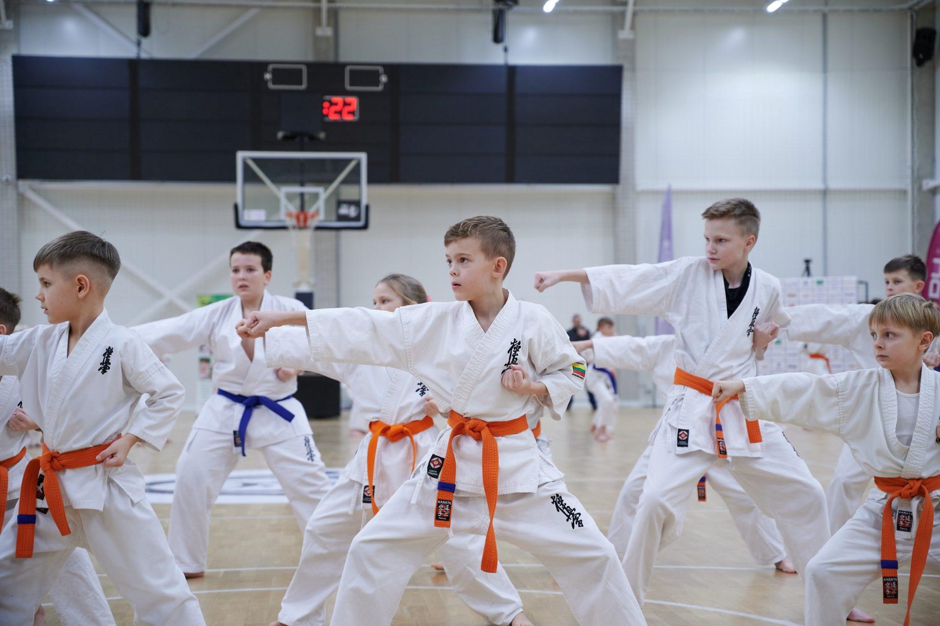 Karate treniruotės |  Vaikai (9-12 m.) pradedantieji | Trenerė Lolita