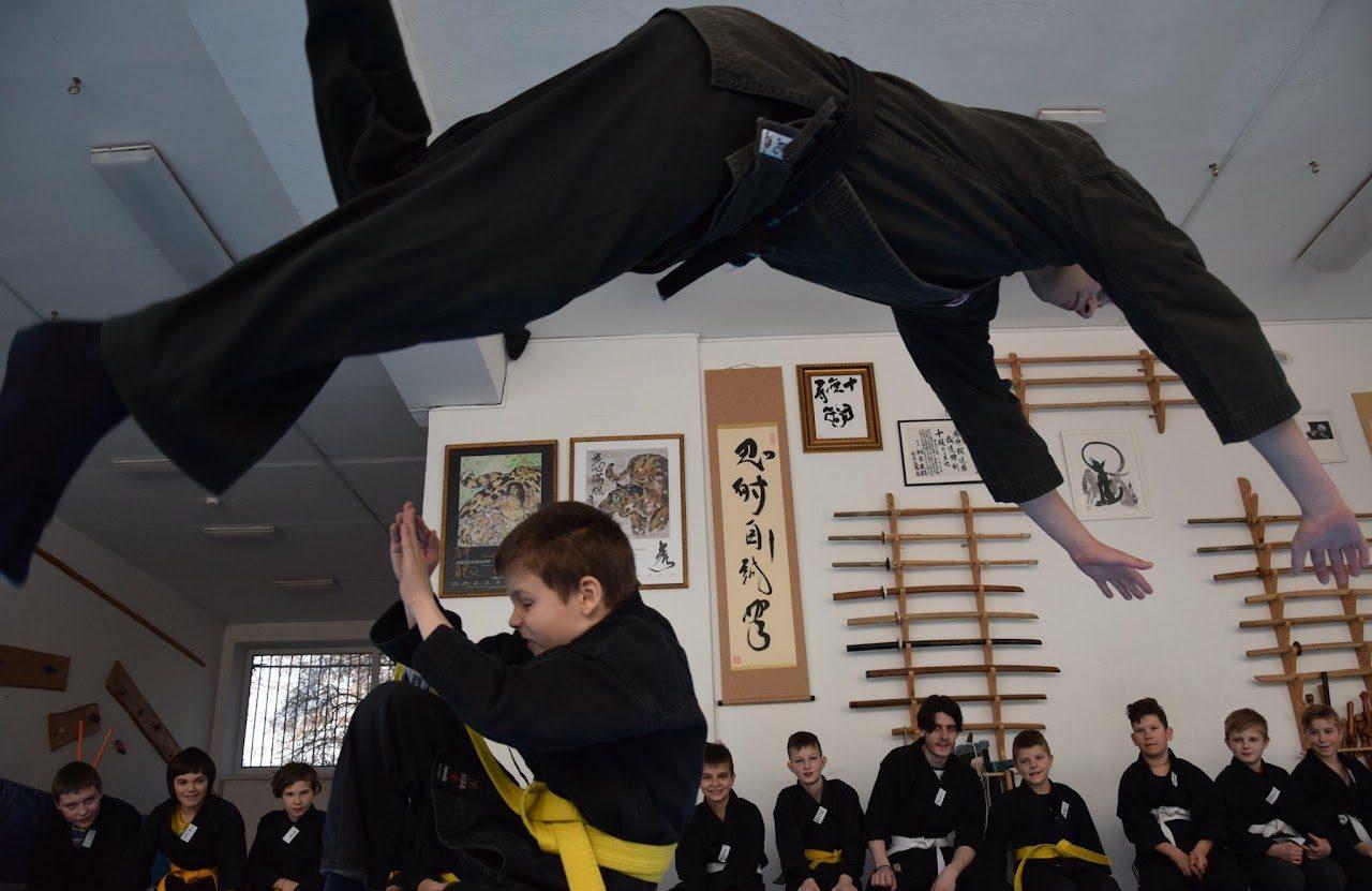 Bujinkan Budo Taijutsu treniruotės vaikams ir jaunimui