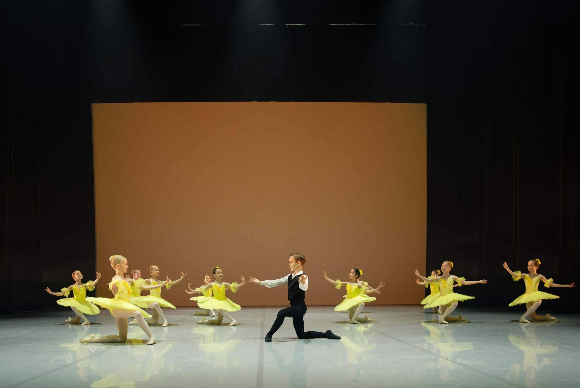 Profesionalaus baleto programa | 9-10 metų amžiaus vaikams (VILNIUS) Pro baletas | akademija