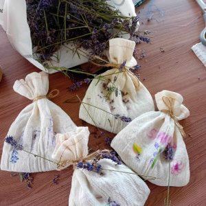 Edukacinė programa | Ką kužda augalo siela