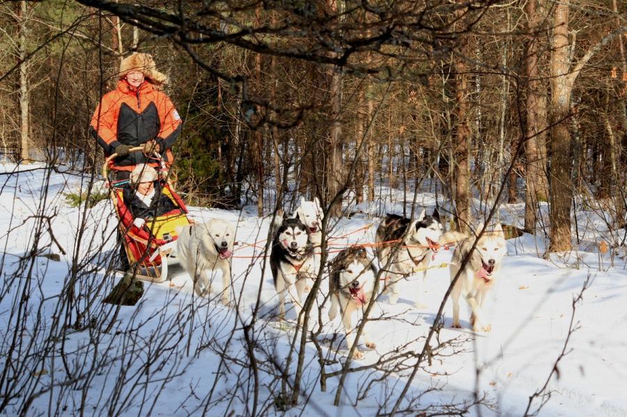 Programa su haskiais suaugusiems "Pasiilgusiems tikrų nuotykių"