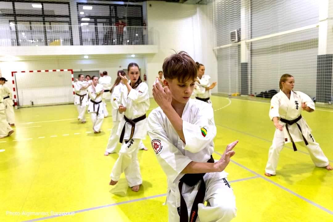 Kyokushin karate treniruotės pažengusiems. 1-4 klasės