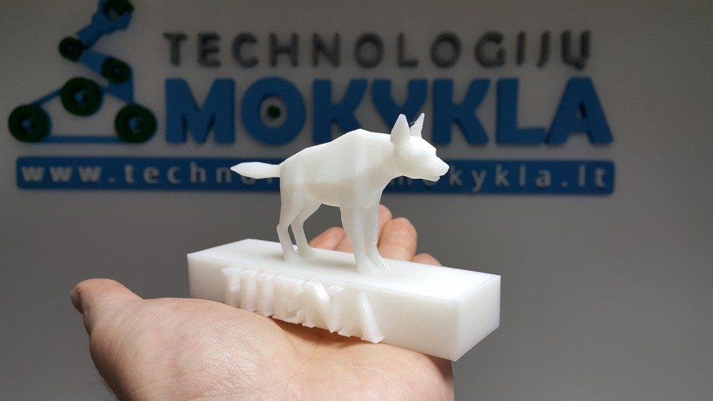 3D projektavimo ir modeliavimo užsiėmimai 5–16 metų vaikams