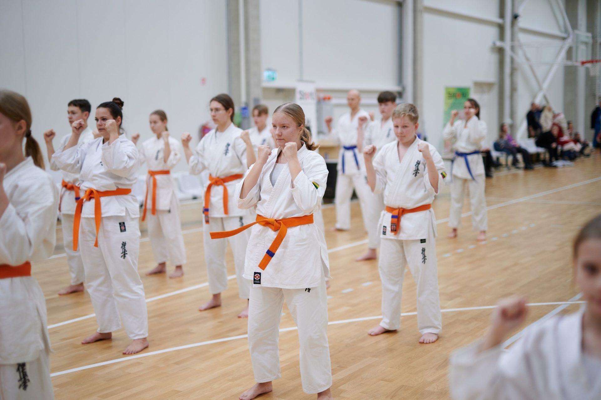 Karate treniruotės | Paaugliai (13-16 m.) pažengę | Trenerė Lolita
