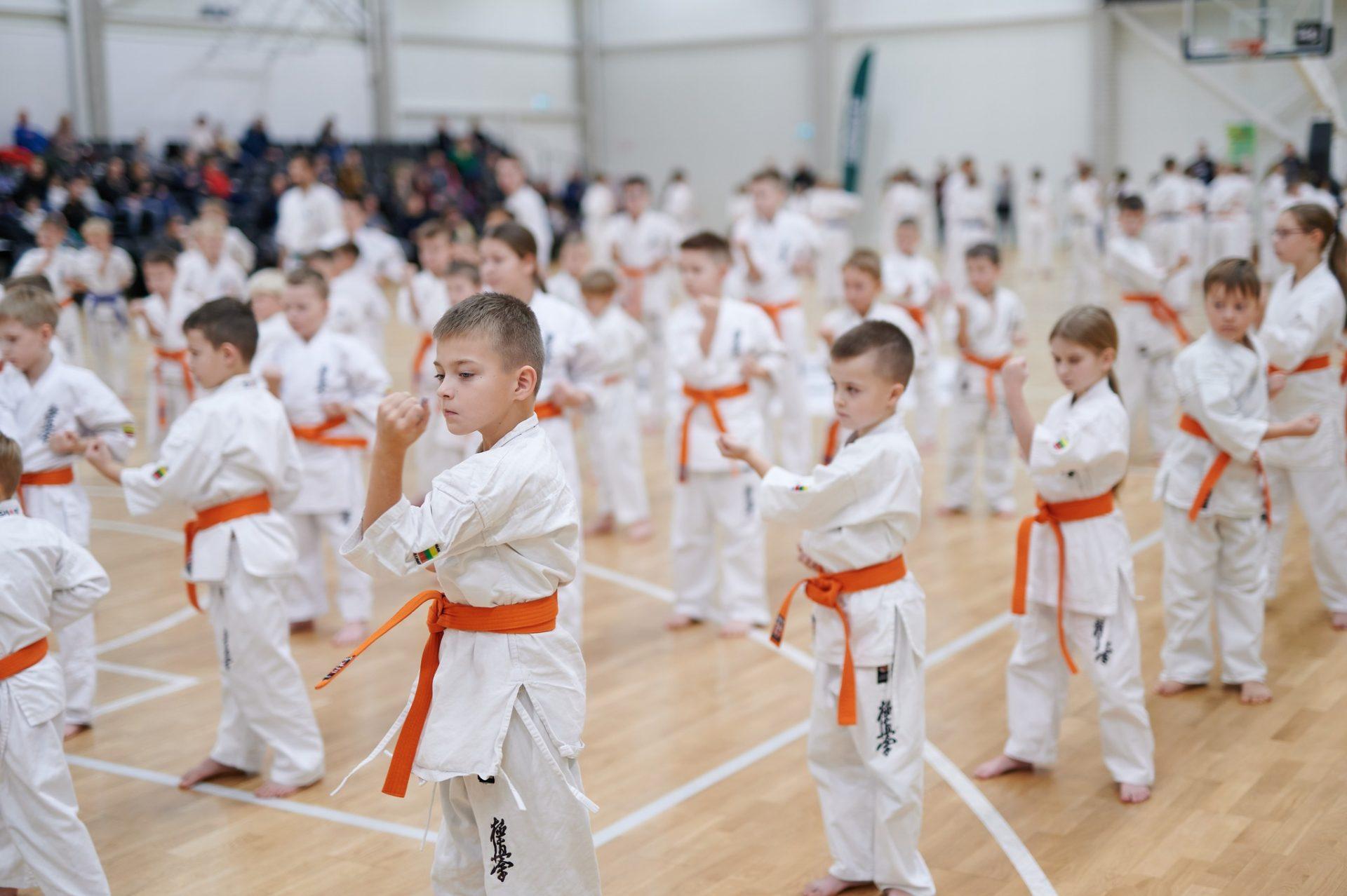 Karate treniruotės |  Vaikai (9-12 m.) pradedantieji | Trenerė Lolita